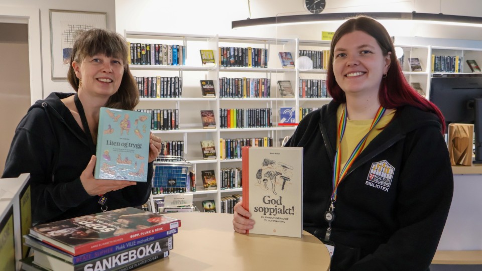 Lenkje til artikkel: Vindafjord bibliotek etablerer beredskapsbibliotek:  – Viktig kunnskap i ei urolig tid