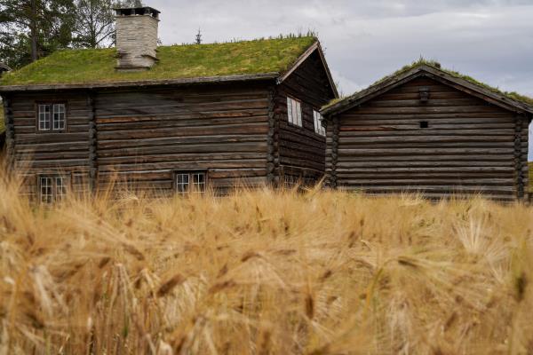 Lenkje til artikkel: Teneste for bygningsvernrådgjeving på Haugalandet 