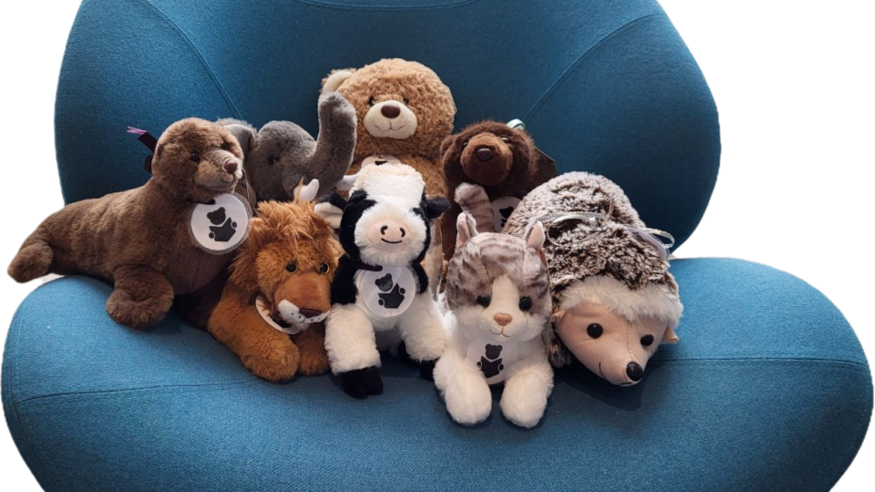 Lenkje til artikkel: Lån ein lesebamse