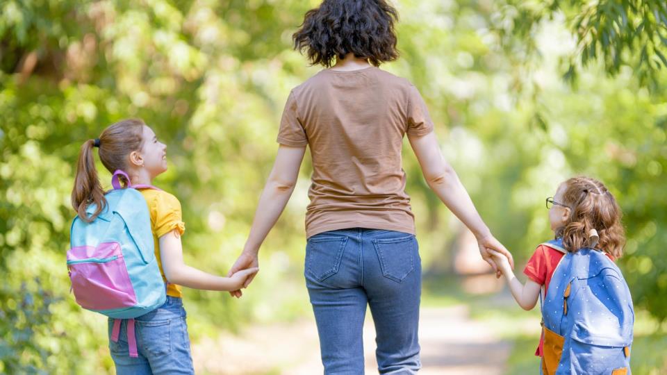 Lenkje til artikkel: Hugs å klippa hekken for ein tryggare skuleveg