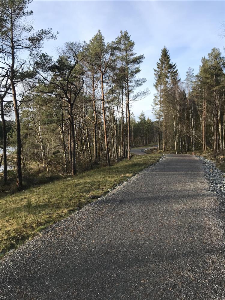Klikk for stort bilete